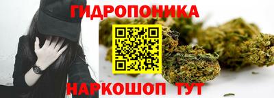 a pvp Абакан